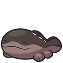 Clodsire
