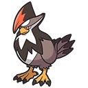 Staraptor